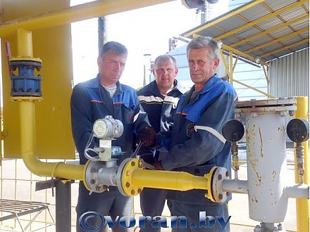 Вносят свой вклад в будущий урожай