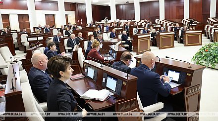 Депутаты приняли во втором чтении законопроект о республиканском бюджете на 2024 год
