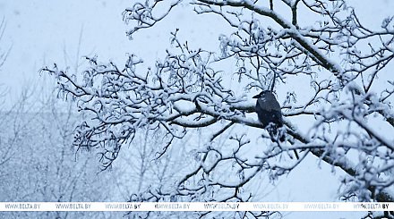 Зима вернулась? Рябов о погоде на неделю с 7 по 13 апреля