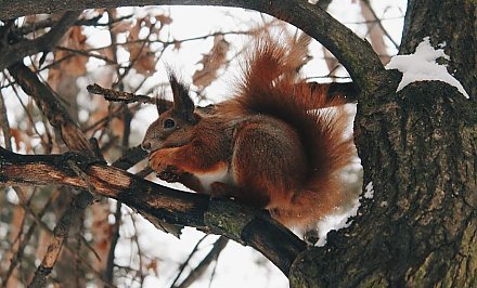 Грядет потепление? Мокрый снег с дождем и гололед ожидаются на этой неделе