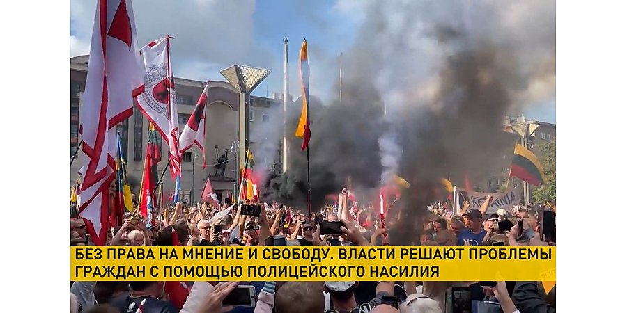 Власти Литвы обвиняют своих граждан в расколе общества и решении захватить власть