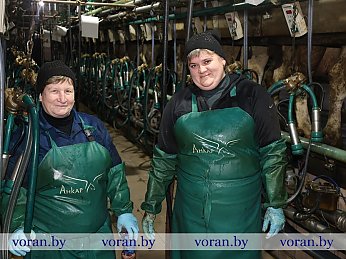 К финишу года — с солидным удоем на МТК «Забейги»