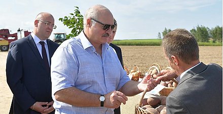 "Это дороже нефти". Как Александр Лукашенко сделал картофель национальным продуктом Беларуси