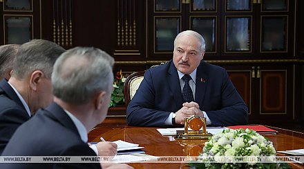 "Безответственность полнейшая". Александр Лукашенко высказал критику по поводу медленных темпов лесовосстановления в Беларуси