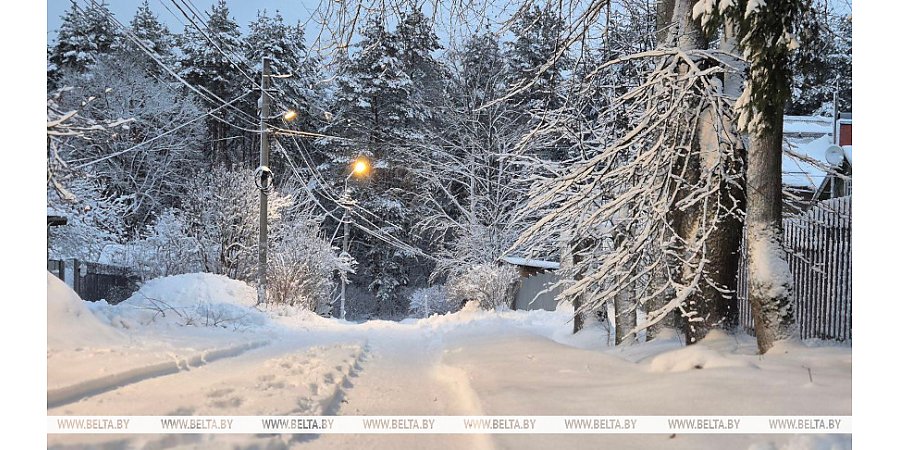 Мокрый снег и слабая метель ожидаются сегодня в Беларуси
