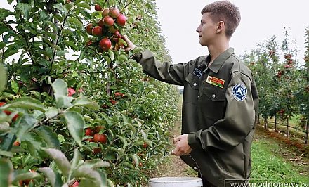 Работа для студентов летом: сколько и где можно заработать?