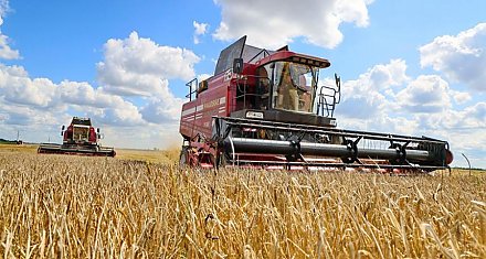 Драйвер развития. Как на Гродненщине выполняются поручения Президента по развитию регионов