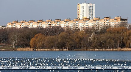 В каком регионе Беларуси сегодня ожидаются дожди с мокрым снегом, ответили синоптики