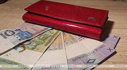 Как будут взыскивать зарплату с нанимателя, если подтвердится факт ее невыплаты. В Беларуси определили порядок