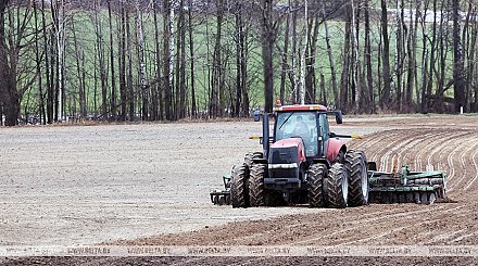 Ранние яровые посеяли в Беларуси почти на 45% площадей
