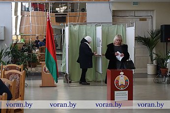 В Вороновском районе началось досрочное голосование