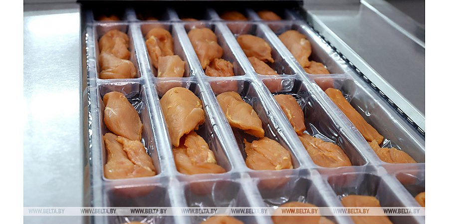 Минсельхозпрод: уровень самообеспечения по мясу птицы в Беларуси составляет 185%