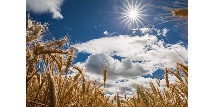 Народные приметы на 17 августа 2025 года: что можно и нельзя делать в этот день