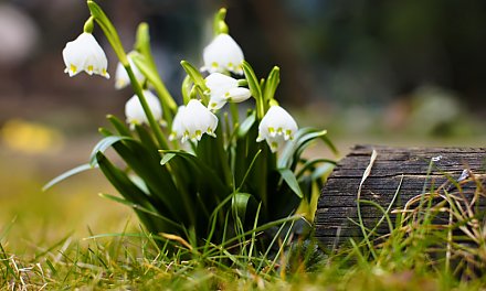 Народный календарь на 2 марта 2025: что можно и нельзя делать, приметы и праздники