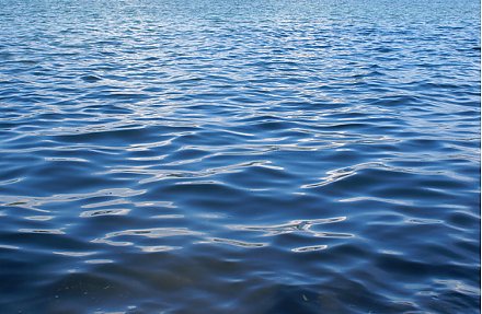 Вода смоет все дурное: народные приметы на 24 мая 2026