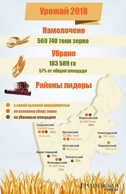 На утро 31 июля общий намолот зерновых и зернобобовых культур в области составил 569 740 тонн (+инфографика)