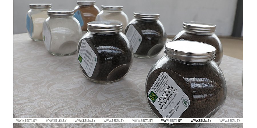 Александр Лукашенко вновь собрал выездной семинар по теме сельского хозяйства