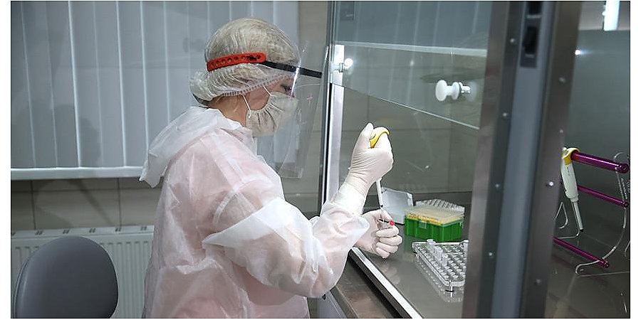 Медики ожидают прихода в Беларусь двух новых штаммов коронавируса