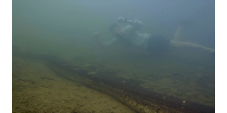 Самую большую в мире анаконду нашли в Амазонке