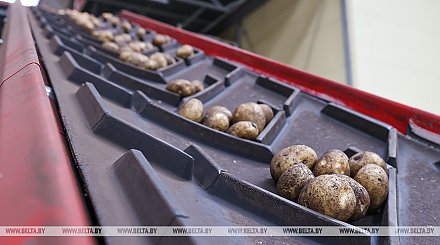 Минсельхозпрод не прогнозирует значительного снижения урожая по овощной группе