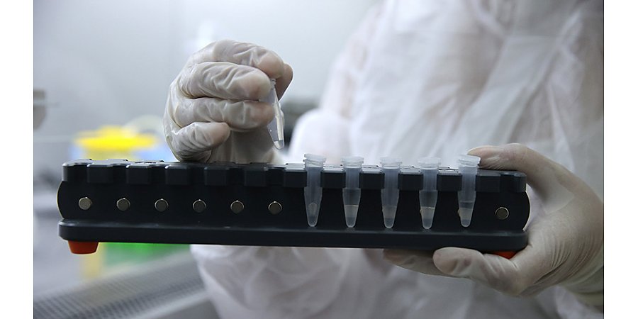 За сутки в Беларуси зарегистрированы 1434 пациента с COVID-19, выписаны 1490