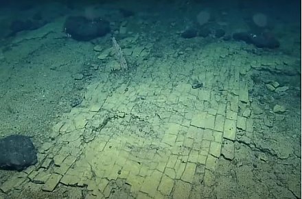 Ученые обнаружили «дорогу из желтого кирпича» на дне Тихого океана