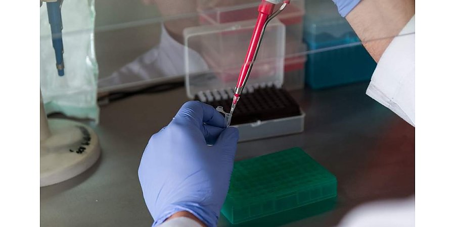 За сутки в Беларуси зарегистрированы 1035 пациентов с COVID-19, выписаны 1173