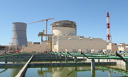 «Нулевой фон» БелАЭС: предварительные данные независимого замера совпали с показателями государственного экологического мониторинга