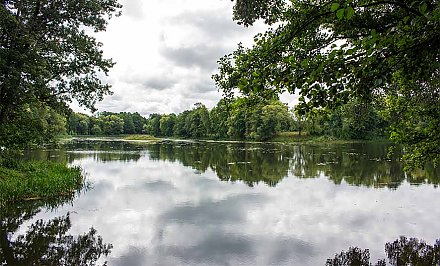 В Берестовице вынесен приговор мастеру ЖКХ, по вине которого произошла произошла массовая гибель рыбы