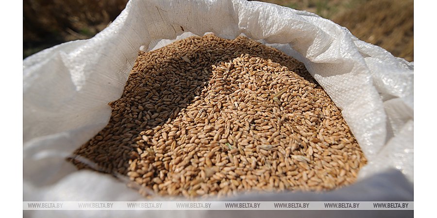 Турция заявила, что хочет продлить зерновую сделку минимум на полгода