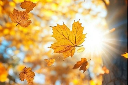 Отпуск – 1 календарный день. Возможно ли такое, ответил юрист