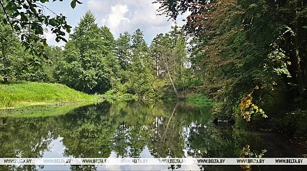 До +23°С, переменная облачность будет сегодня в Беларуси