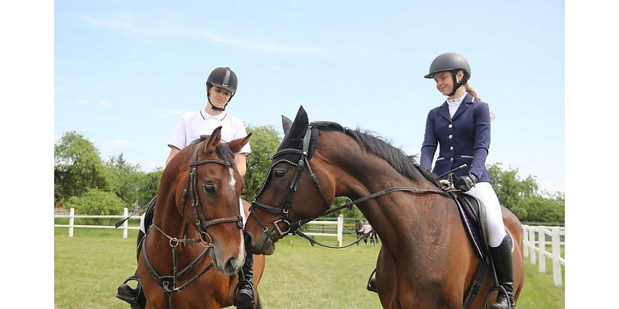 В Лиде прошел чемпионат Гродненской области по конному спорту
