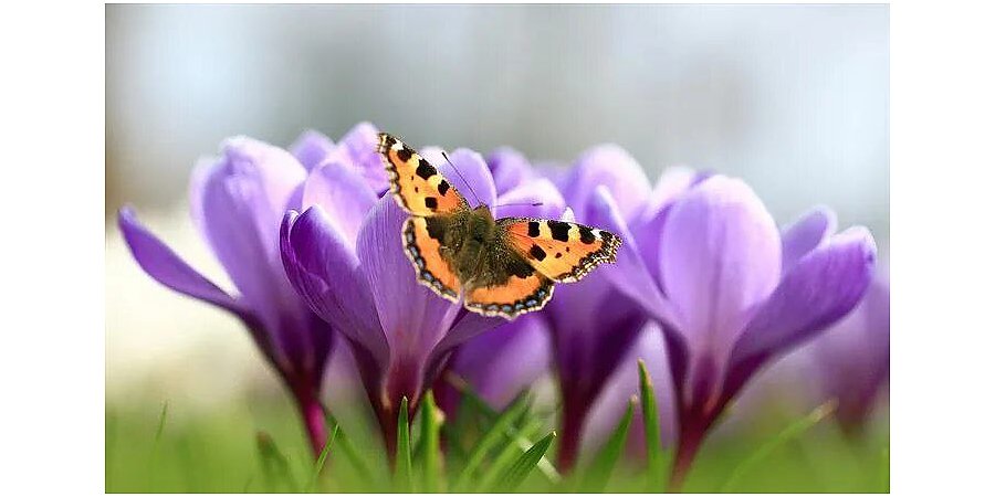 Солнечно и до +19°С. Какой будет погода в Беларуси 3 апреля