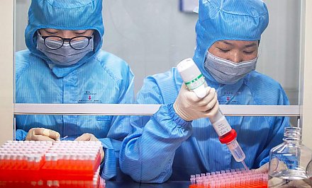В Китае успешно прошла испытания на обезьянах вакцина от коронавируса