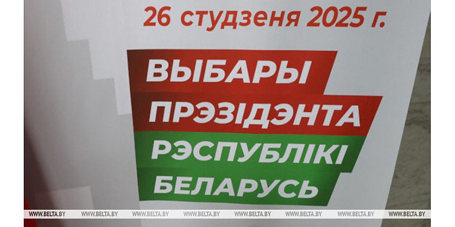 Наблюдатели от СНГ: агитационная кампания проходит в Беларуси спокойно и организованно