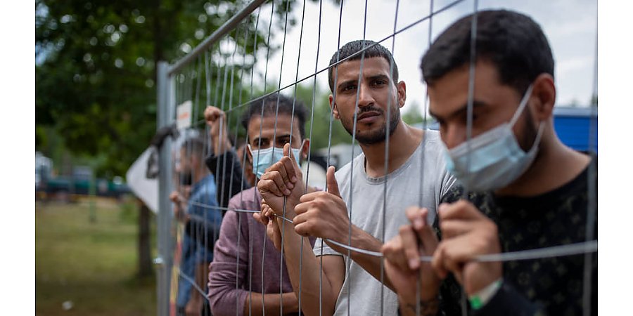 В Литве при перевозке мигрантов задержаны граждане 4 стран