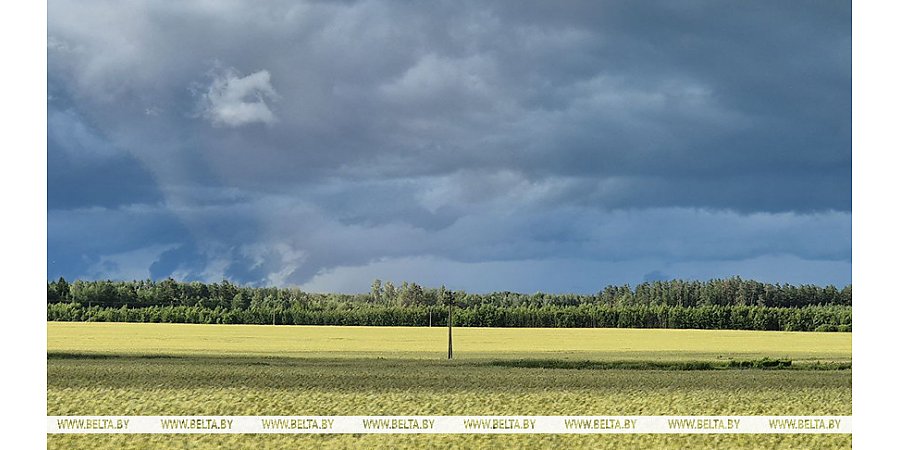 Кратковременные дожди и грозы ожидаются сегодня в Беларуси