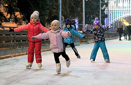 Катание на коньках могут добавить в общеобразовательную программу