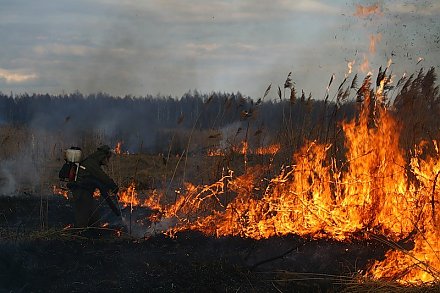 В Лидском районе уже четвертые сутки тушат торфяной пожар