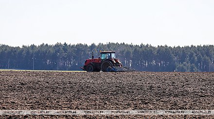 Виктор Баранец: российские министры должны учиться сельскому хозяйству не на Западе, а в Беларуси