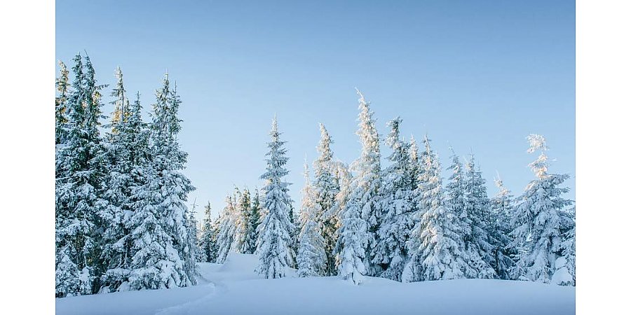 На отдельных участках дорог - гололедица. Какой будет погода в Беларуси 9 февраля