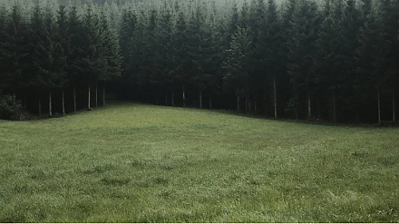 Народные приметы на 26 августа: что можно и нельзя делать в этот день