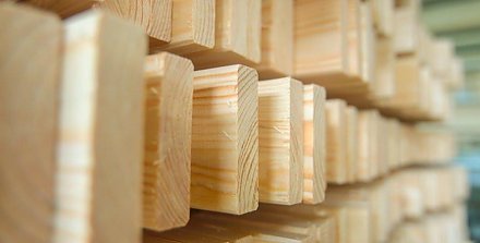 В Минлесхозе пояснили новый порядок реализации деловой древесины