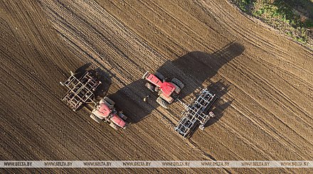 В Беларуси яровые культуры посеяли более чем на половине площадей