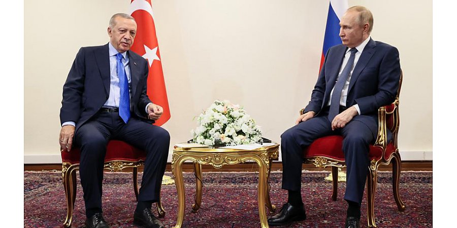 Путин и Эрдоган проведут переговоры в Сочи 5 августа
