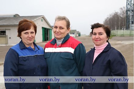 Юзеф Сурконт: «Надо любить  землю, и она отплатит добром»