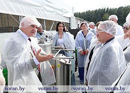 Новости