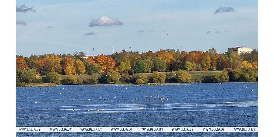 До +14°С ожидается сегодня в Беларуси