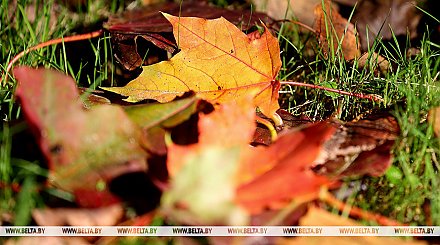 Облачно и без осадков будет сегодня в Беларуси